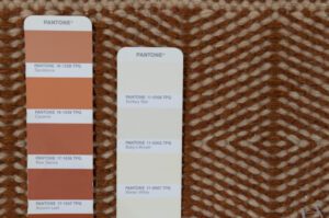 54778_EWV107E-Katahdin_Bison_New_Zealand_Wool_Handwoven_Rug-1'0''x1'0''-India-5