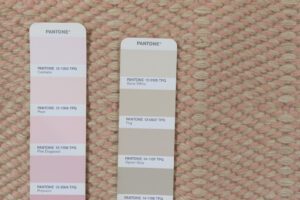 54788_EWV107J-Katahdin_Himalayan_Salt_New_Zealand_Wool_Handwoven_Rug-1'0''x1'0''-India-5