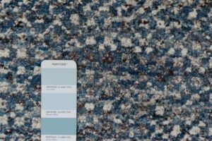 47990_ESW432D-Carle_Essential_Wool_Handwoven_Rug-6'0''x9'1''-India-14