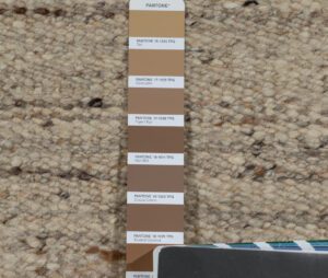 50069_EWV270E-Chunky_Flatweave_Oatmeal_Handwoven_Rug-12'1''x15'0''-India-4
